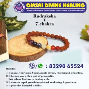 Rudraksha + 7 chakra Bracelet