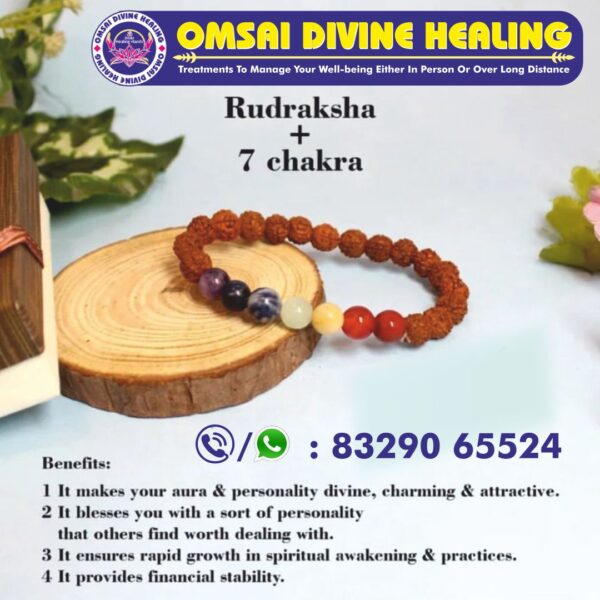 Rudraksha + 7 chakra Bracelet